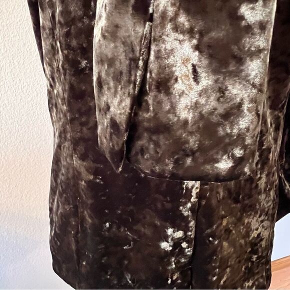 Sanctuary Blazer Velvet Size Small Moss Green Long Sleeve Button Front - Picture 8 of 10
